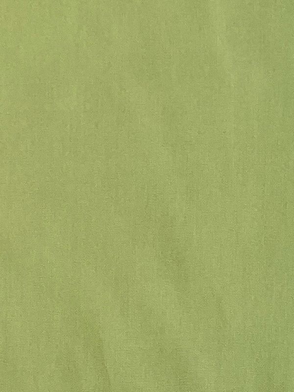 27450 Wasabi green