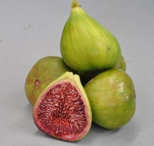 Fig Candy