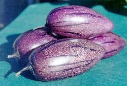 Pepino Ruby ™