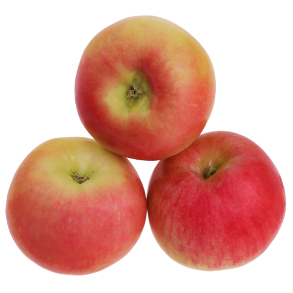 Apple Sunrise