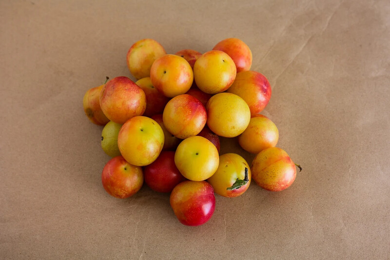 Plum Heard Cherry