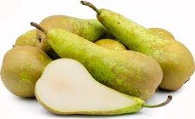 Pear Conference