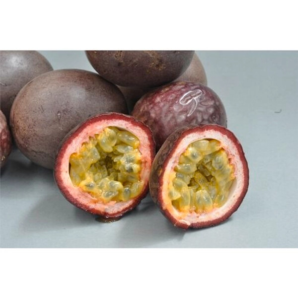 Passionfruit Black Beauty 1L
