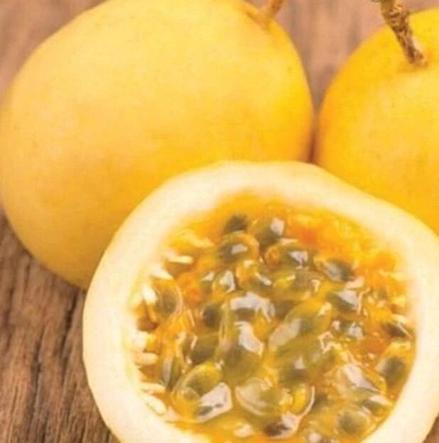 Passionfruit Golden Passion