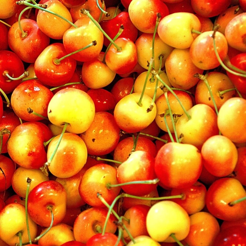 Cherry Rainer