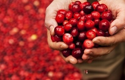 Cranberry crowley