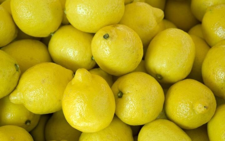 Citrus Lemon Yen Ben