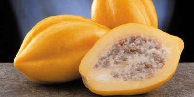 Pawpaw