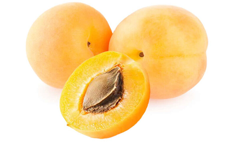 Peachcot  - BARE ROOTED