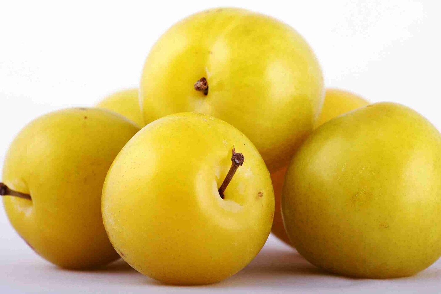 Plum Coes Golden Drop  - BARE ROOTED