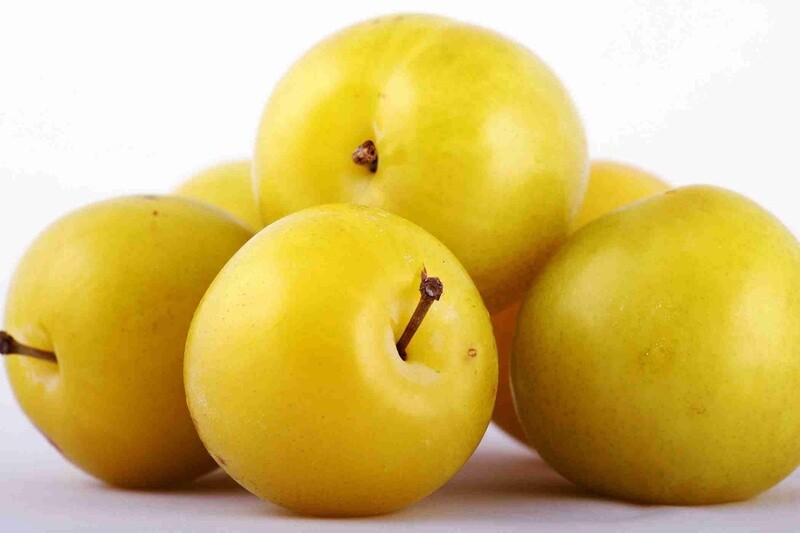 Plum Coes Golden Drop  - BARE ROOTED