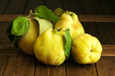 Quince