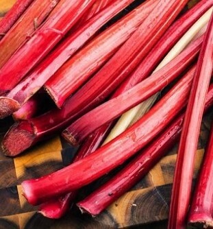 Rhubarb, Variety: Winter Wonder