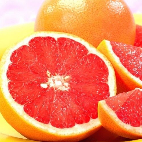 Citrus Grapefruit &quot;Star Ruby&quot;