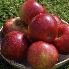 Apple Ariane