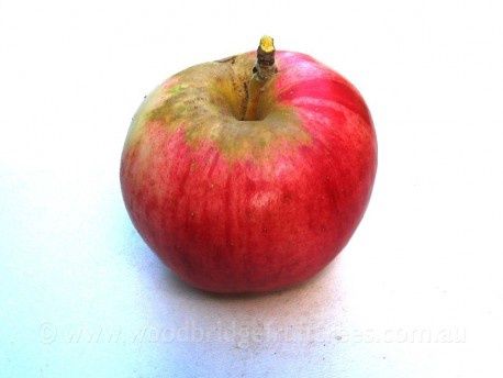 Apple Geeveston Fanny