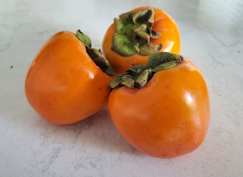 Persimmon Fuyu