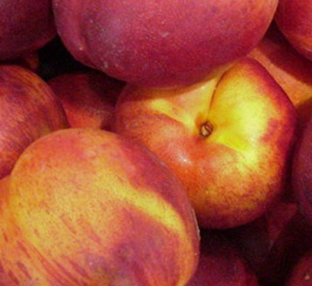 Nectarine Theo Ching  - BARE ROOTED