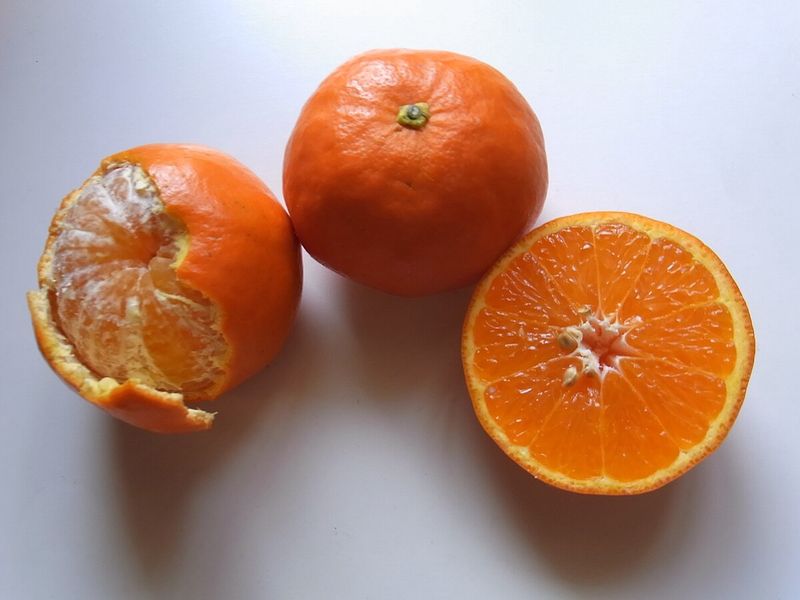Citrus Tangelo Seminole
