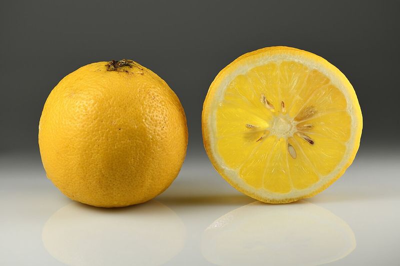 Citrus Orange Bergamot