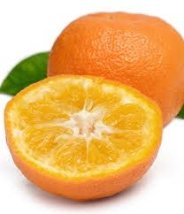 Citrus Seville Orange