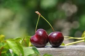Cherry
