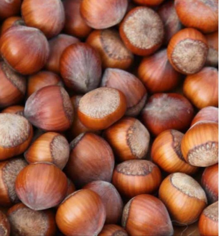 Hazelnut Whiteheart