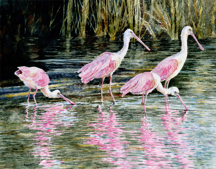 Spoonbill Reflections