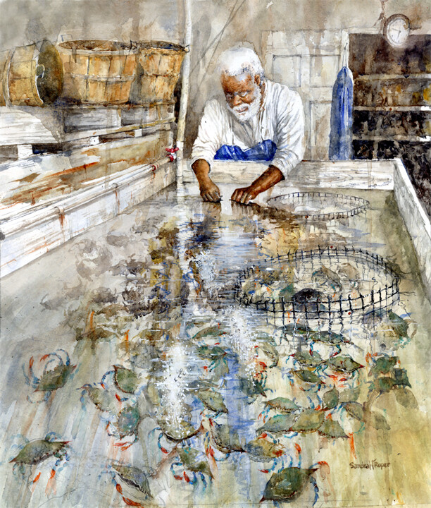 Harvesting Soft Shell Crabs