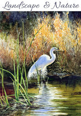 Landscapes and Nature