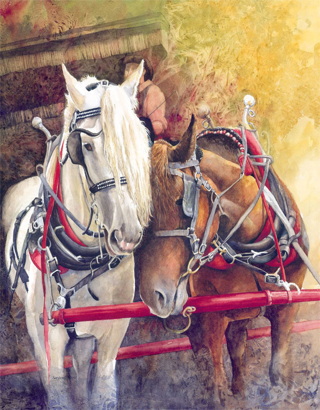 Draft Horses