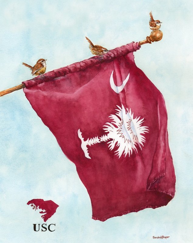 Carolina Salute to Gamecocks