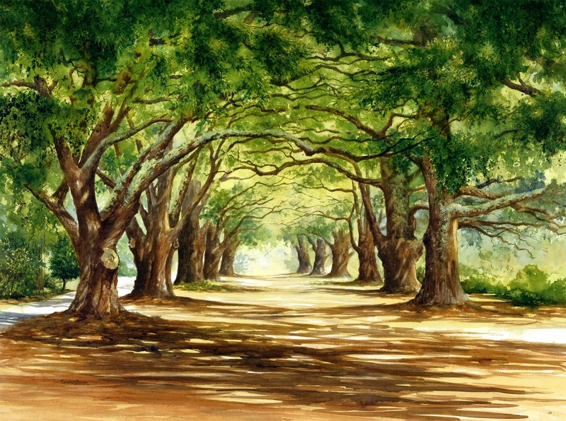 South Boundary of Oaks