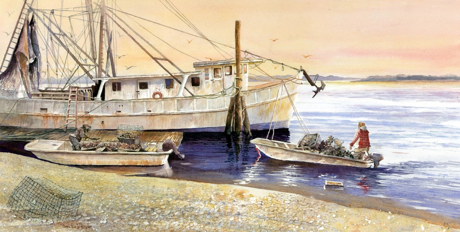 Harvesting Oysters
