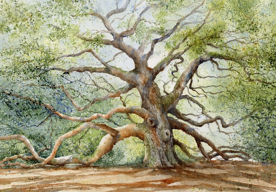 "Under the Angel Oak"