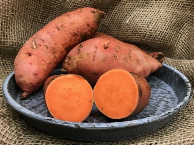 Beauregard - Our Most Popular Red Variety!