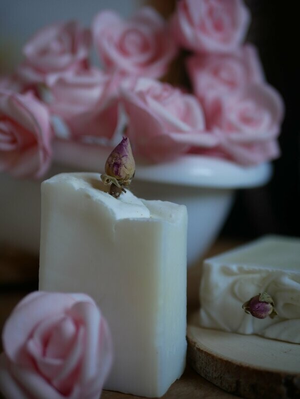 Boutons de Rose