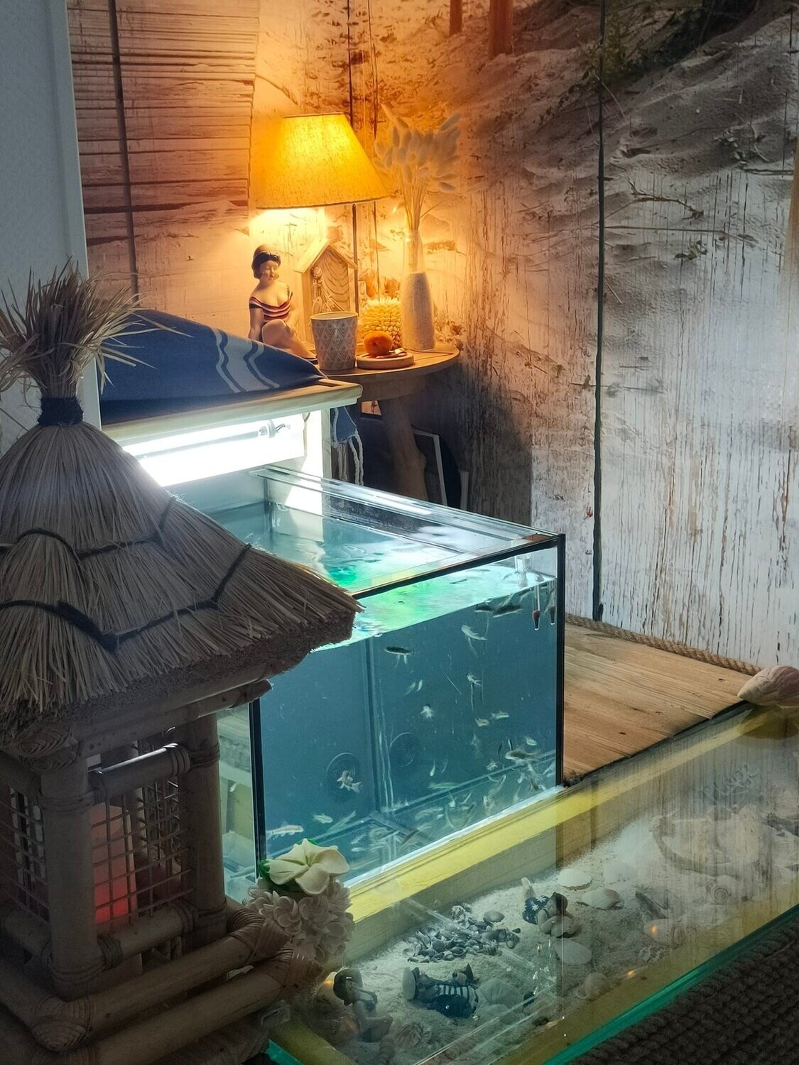 Formule Fish Spa Formule Fish Spa