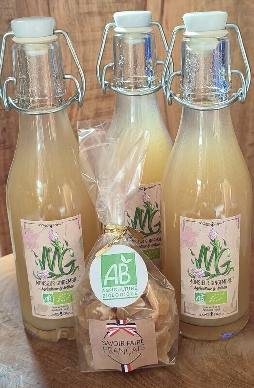 Gingembre  en  cure - culture BIO