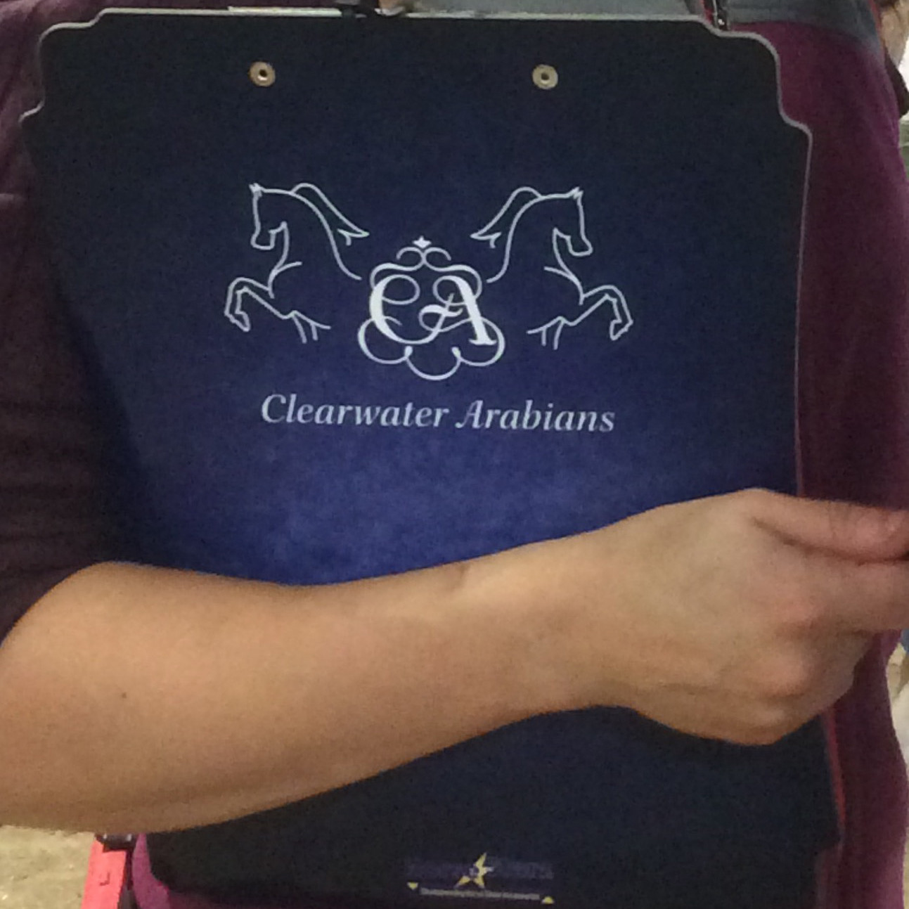 Custom Dry Erase Trainer's Clipboard