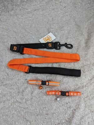 Matching Cat Collars and Dog Lead - Orange