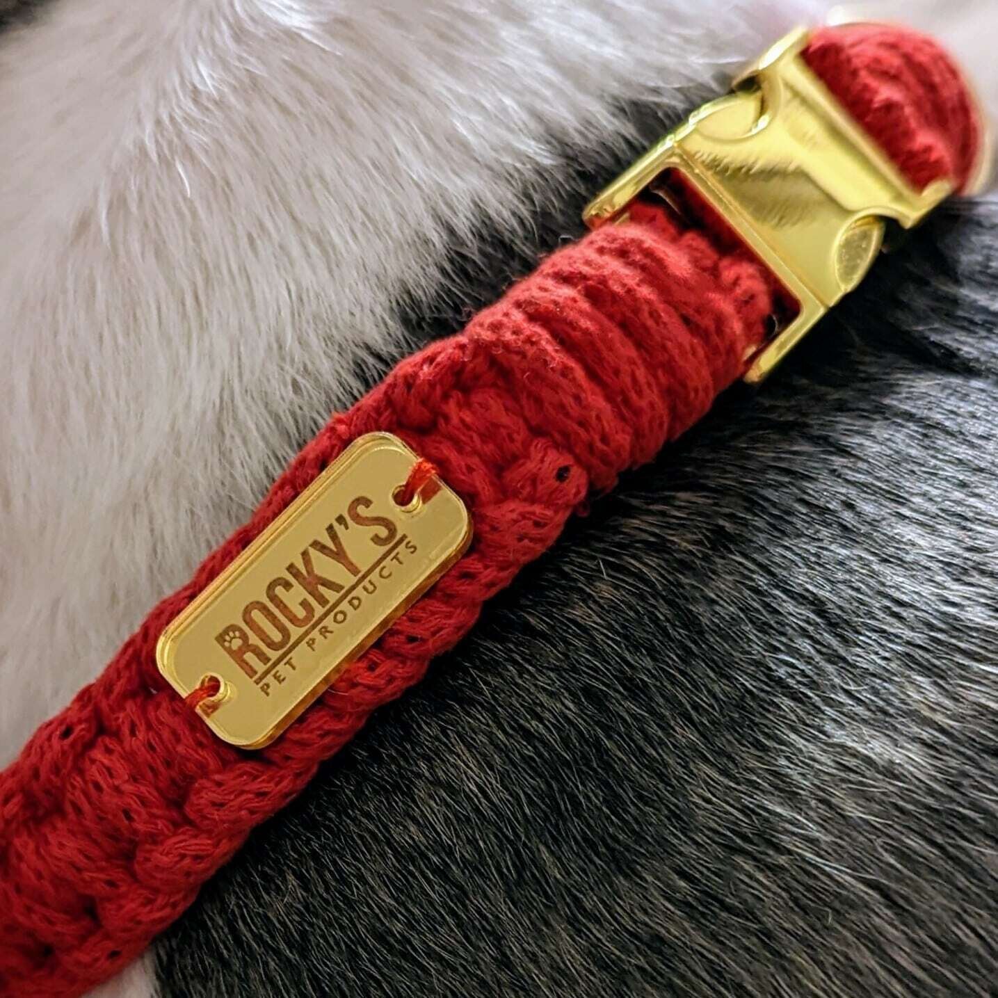 Handmade Macramé Dog Collar in Red