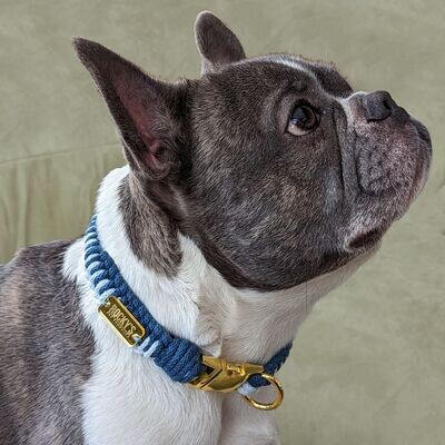 Handmade Macramé Dog Collar in 2 Tone Blue