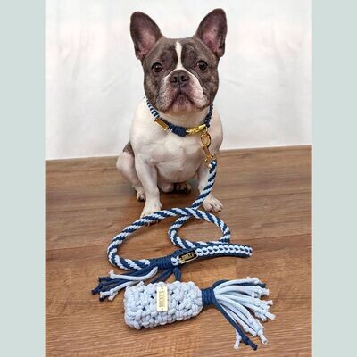 Handmade Matching Dog Accessories - BLUE BUNDLE