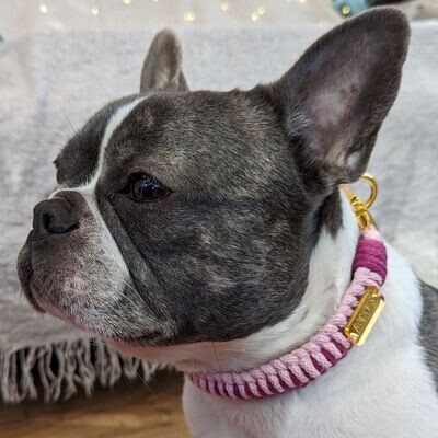 Handmade Macramé Dog Collar in 2 Tone Pink