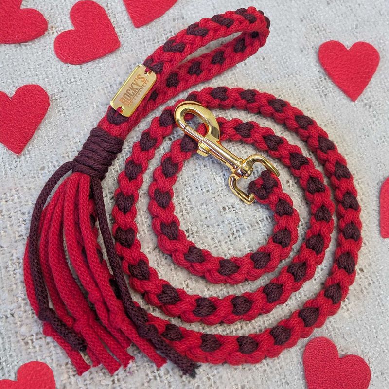Handmade Dog Lead Valentine's Day Heart Pattern
