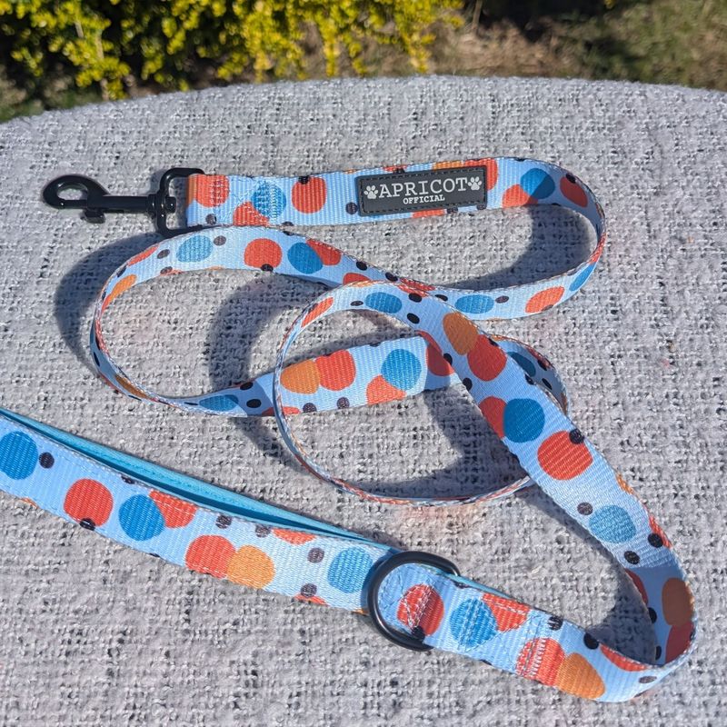 Confetti Pattern Dog Lead
