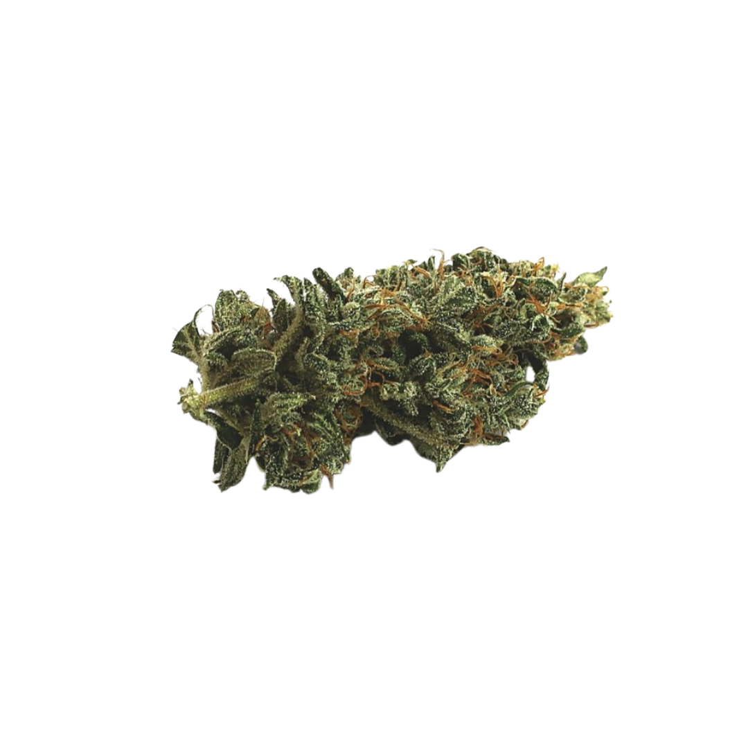 Bad Ass Indica 16.9%