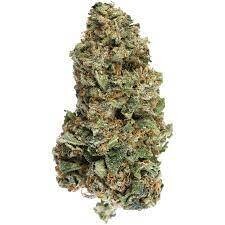 Apricot Hybrid 15.5%