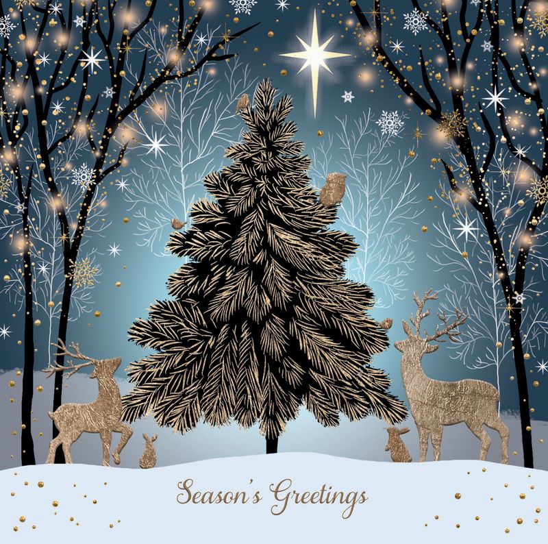 Twinkly Forest Friends - Pack of 10 Cards